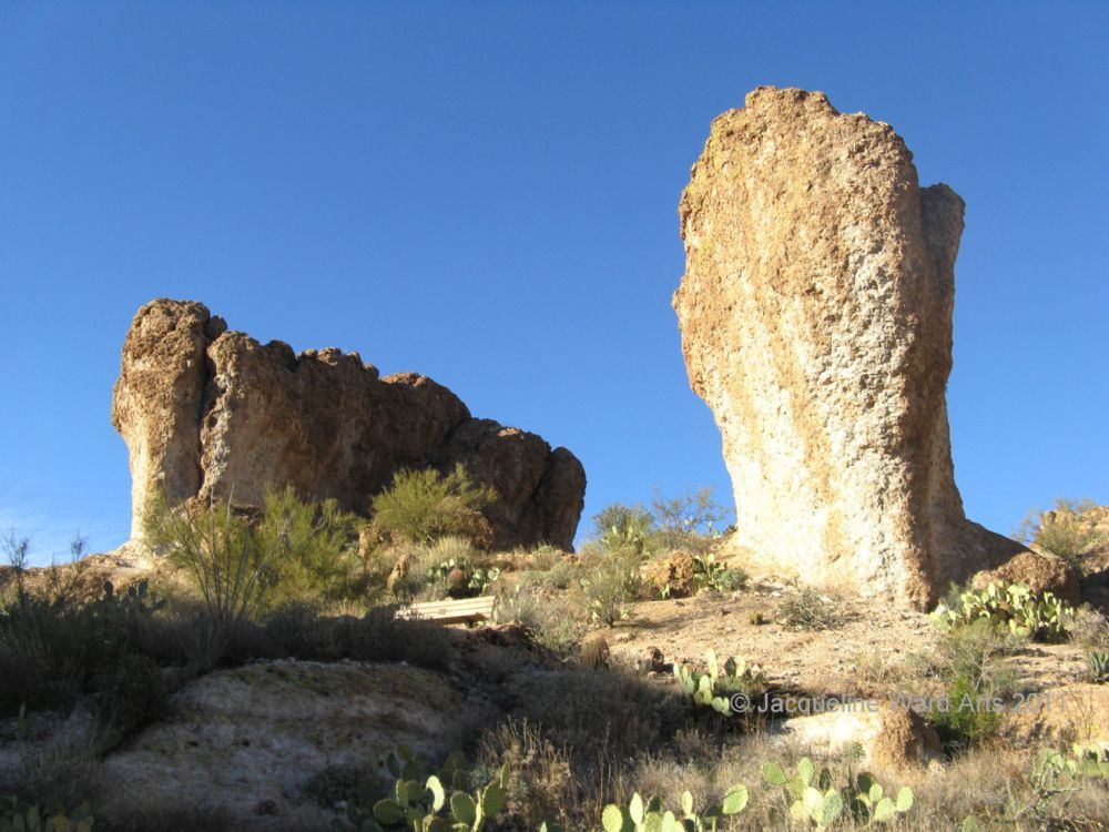 Desert Sculptures