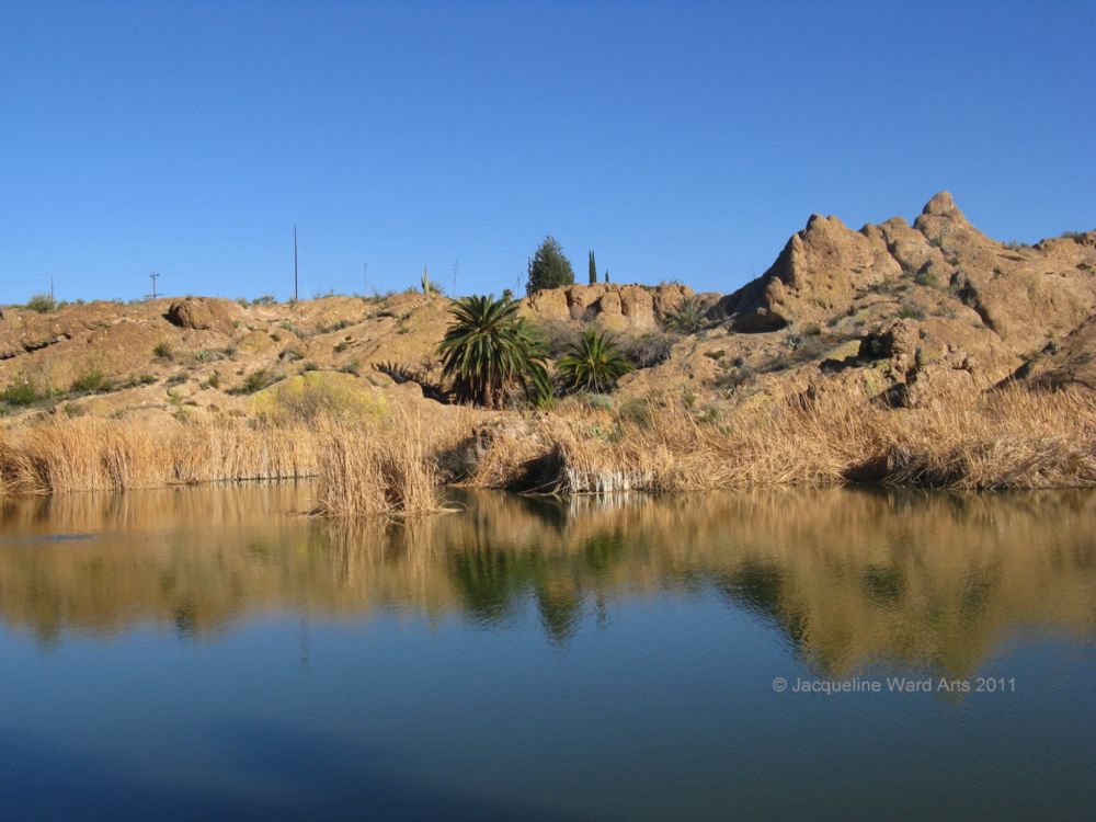 Arizona Oasis