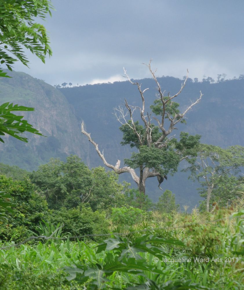 Storm Brewing in Volta Region