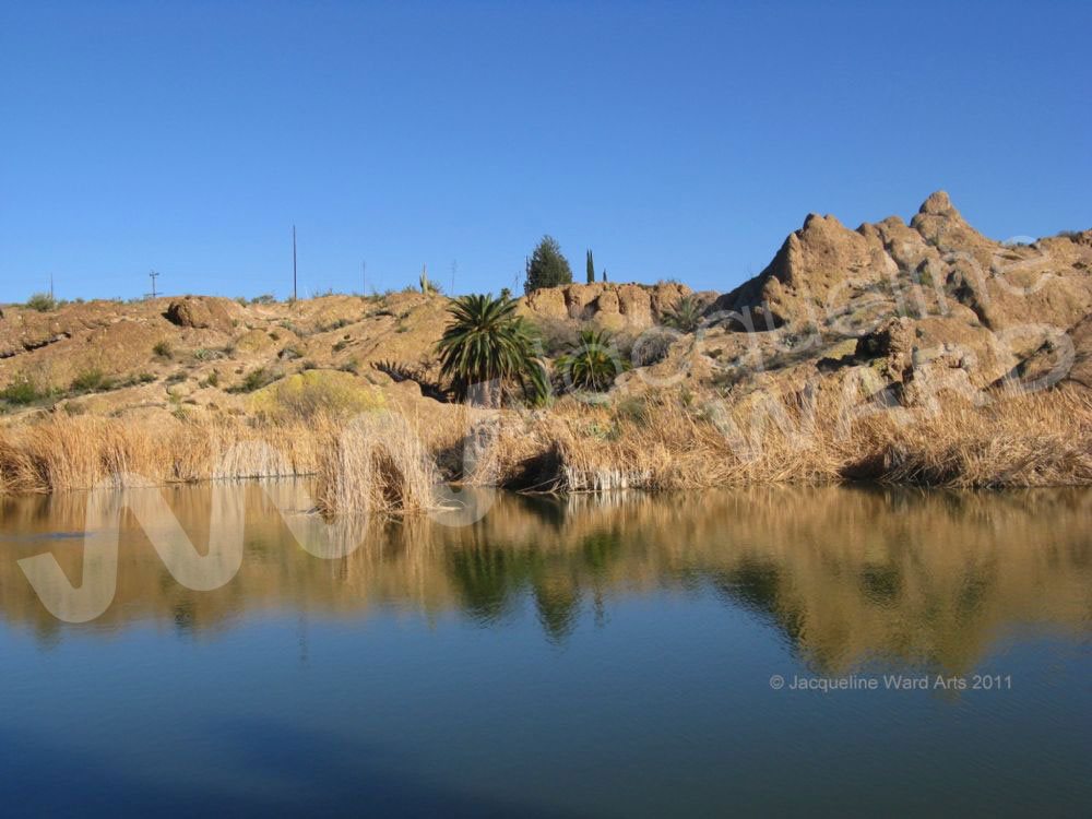 Arizonal Oasis