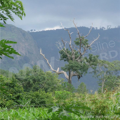 Storm Brewing in the Volta